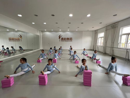 晟韻藝術培訓學校積極備戰金孔雀杯第七屆少兒舞蹈大賽 營利性民辦藝術培訓機構的專業探索
